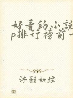 好看的小说app排行榜前十名