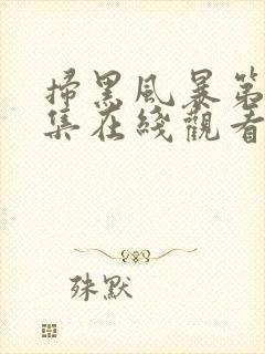 扫黑风暴第19集在线观看免费完整版