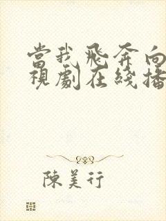 当我飞奔向你电视剧在线播放