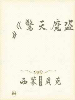 《惊天魔盗团2》