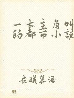 一本主角叫叶欢的都市小说封面