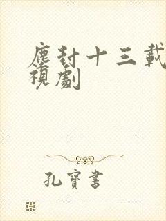 尘封十三载 电视剧