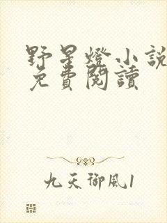 野星灯小说全文免费阅读