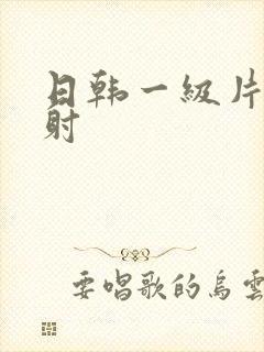 日韩一级片体内射封面