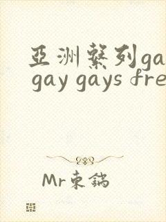 亚洲系列gay gay gays free封面