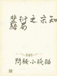 裴衍之宋知忆大结局封面