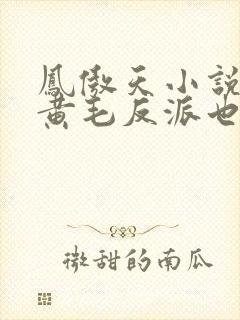 凤傲天小说里的黄毛反派也想幸福小说封面