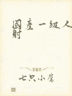 国产一级人片内射