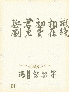 与君初相识电视剧免费在线观看完封面