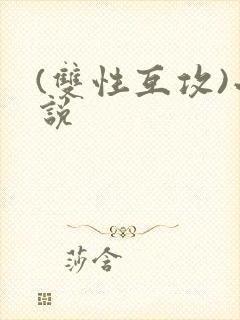(双性互攻)小说
