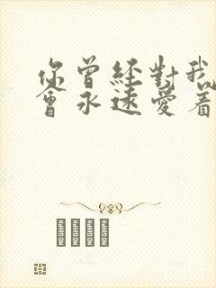 你曾经对我说你会永远爱着我封面