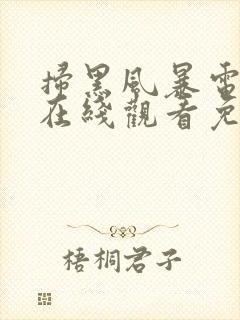 扫黑风暴电视剧在线观看免费完整版2021