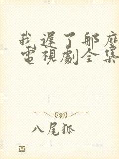 我迟了那么多年电视剧全集免费播放封面