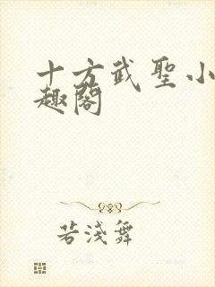 十方武圣小说笔趣阁