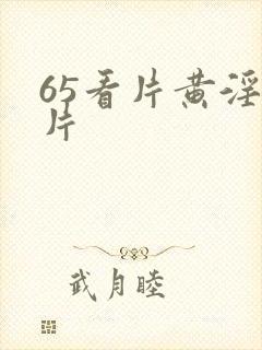 65看片黄淫大片