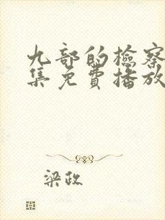 九部的检察官全集免费播放在线观看