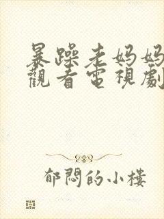 暴躁老妈妈免费观看电视剧全集