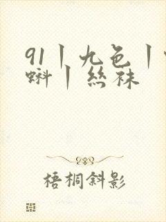 91丨九色丨蝌蚪丨丝袜
