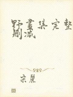 野画集完整版未删减封面