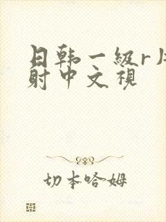 日韩一级r片内射中文视