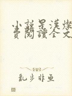 小说星汉灿烂免费阅读全文