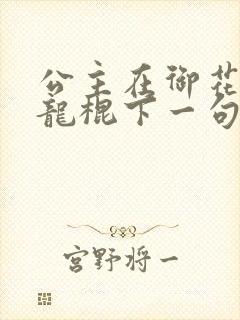 公主在御花园吃龙棍下一句封面