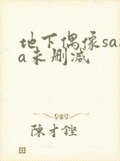 地下偶像sana未删减