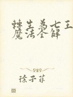 转生为七王子的魔法全解