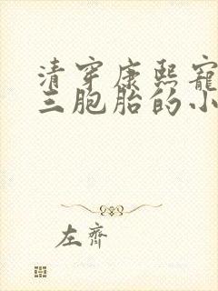 清穿康熙宠妃生三胞胎的小说