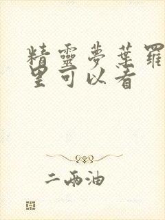 精灵梦叶罗丽哪里可以看