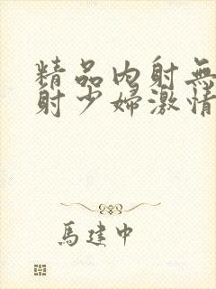 精品内射无套内射少妇激情