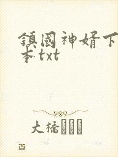 镇国神婿下载全本txt