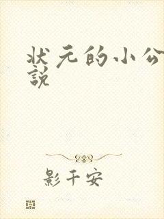 状元的小公主小说封面