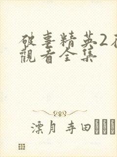 破事精英2在线观看全集