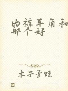 内裤平角和三角哪个好