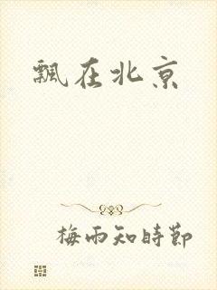 飘在北京封面