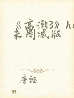 《高潮3》hd未删减版封面