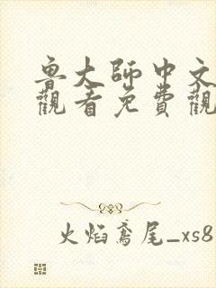 鲁大师中文在线观看免费观看电视剧