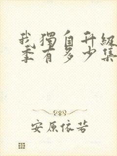 我独自升级第一季有多少集