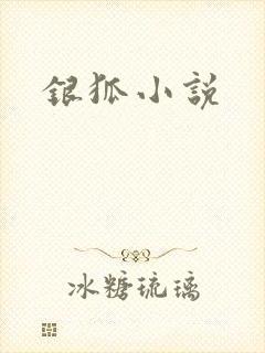 银狐小说