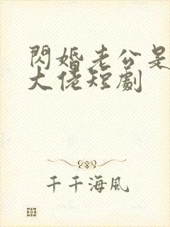 闪婚老公是豪门大佬短剧封面