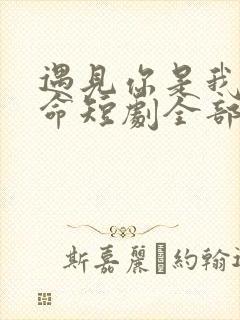 遇见你是我的宿命短剧全部播放