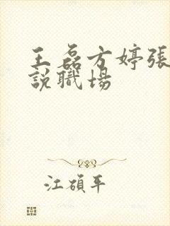 王磊方婷张芳小说职场