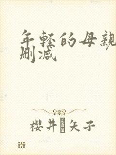 年轻的母亲2无删减封面