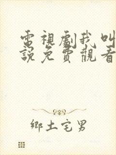 电视剧我叫刘传说免费观看封面