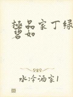 极品家丁绿帽安碧如封面