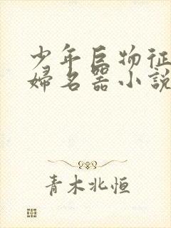 少年巨物征服美妇名器小说