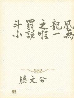 斗罗之龙凰传说小说唯一无双封面