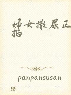 妇女撒尿正面偷拍