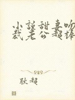 小说甜妻吻安总裁老公超棒的封面